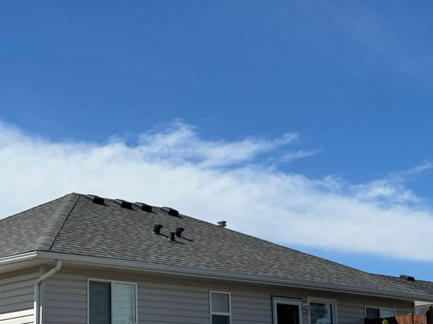 Best Roof Maintenance and Cleaning  in Wernersville, PA